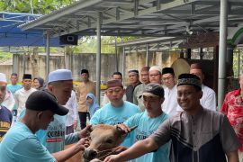 Polres Bangka Selatan sembelih 13 hewan kurban