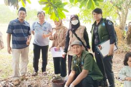 Bangka Selatan periksa post mortem hewan kurban