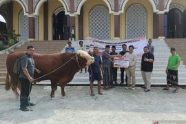 Presiden Jokowi sumbang hewan kurban di IKN