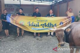 PWI Kalsel potong tiga hewan kurban untuk dibagikan