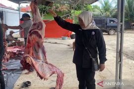 Mukomuko pastikan daging hewan kurban aman dikonsumsi