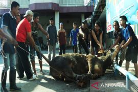 Polresta Banjarmasin bagikan 4.000 kantong daging kurban ke warga