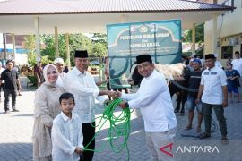 Polda Kalsel kurban 192 sapi dan 62 kambing