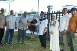 Kilang Pertamina Plaju distribusikan 63 ekor hewan kurban pada Idul Adha