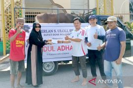 Hewan kurban di Kabupaten Bone Bolango mencapai 949 ekor