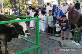 Masyarakat Jatim berkurban 434.843 ekor sapi