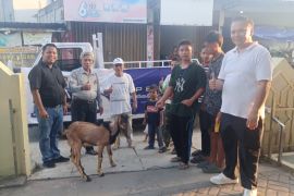 Gereja HKBP Batam Center sumbang 3 ekor kambing pada Idul Adha 1445 H