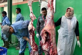 RPH Magetan bantu potong puluhan ekor sapi gratis