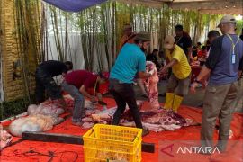 Pemkot Balikpapan pastikan daging kurban aman dikonsumsi
