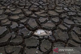 Sekjen PBB desak setop perusakan Bumi