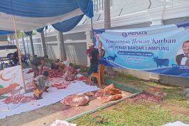 Peradi Bandarlampung salurkan 700 kupon hewan kurban kepada masyarakat