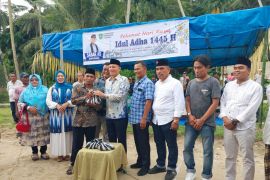 DPC Demokrat Pasaman gelar kurban di Air Rambah, Sabar AS: wujud kepedulian