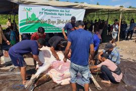 PT PAS berbagi kebahagiaan melalui ibadah kurban