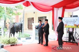 Tito: Perayaan Idul Adha momentum peningkatan iman-berbagi empati