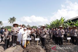 Kapolda Bali tanam pohon sorgum di Klungkung jaga ketahanan pangan