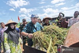 Pemkab Bangka Barat tingkatkan kemampuan petani kuasai teknologi