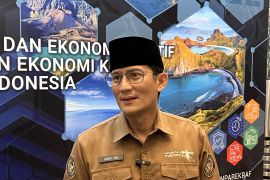 Terkait harga tiket pesawat mahal, ini langkah yang dilakukan Menparekraf