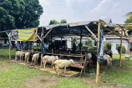 Transaksi hewan kurban untuk Idul Adha di Kota Bogor meningkat pada 2024