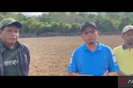 Bangka Tengah ajak kelompok tani budidayakan tanaman cabai