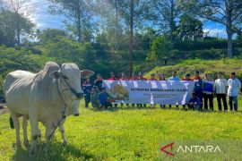 Elnusa Petrofin bagikan daging kurban kepada 15.525 penerima manfaat