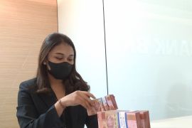 Pengamat anjurkan investasi sikapi pelemahan kurs Rupiah