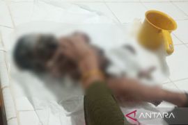 Masyarakat Meranti digegerkan penemuan mayat bayi di semak-semak