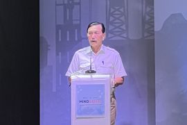LBP kritisi birokrasi berbelit hambat bantuan listrik ke perbatasan PNG