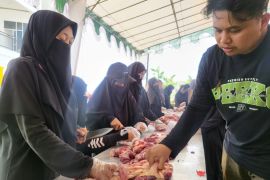 Ismuhu Yahya Kubu Raya kurban 394 ekor hewan pada Idul Adha 1445 Hijriah