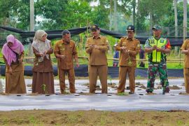 Aceh Besar targetkan tanam cabai merah seluas 210 hektare