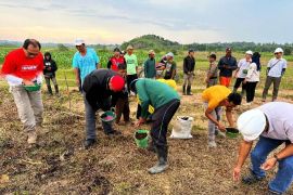 Bupati Kukar: Lahan eks tambang  bisa untuk ketahanan pangan