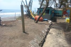 Kulon Progo diharapkan relokasi lokasi konservasi penyu Trisik