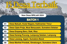 Salman bangga Desa Sungai Rasau masuk nominasi 15 besar nasional BRILiaN 2024