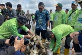 Pemkab Kutim lakukan aksi penanaman terumbu karang