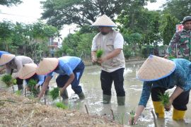 Pj Bupati ajak petani tingkatkan hasil produksi pertanian