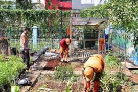 Pemkot Jakpus manfaatkan lahan kosong untuk tingkatkan ketahanan pangan
