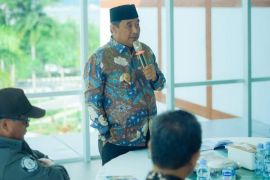 Pemprov Sulbar tingkatkan populasi sapi hingga 20 ribu ekor