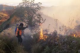 Balai Besar TNBTS hitung luas area terdampak karhutla di kawasan Bromo