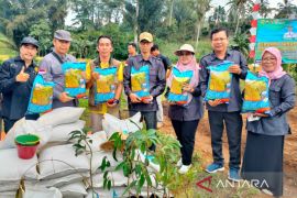 Kementan salurkan bantuan antisipasi el Nino di Rejang Lebong