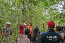BPBD Lumajang evakuasi pendaki alami hiportemia di Gunung Lemongan