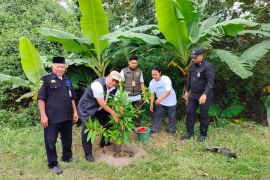 Dirut Perum Bulog perintahkan karyawan galakkan penanaman pohon