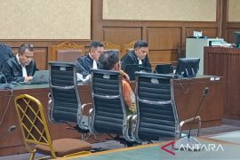 SYL mengaku tak pernah minta dibelikan mobil untuk anaknya