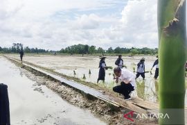 President Jokowi inspects agricultural pumping system in C Kalimantan
