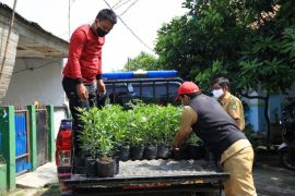 DKP Tangerang distribusikan 329.715 bibit cabai gratis ke masyarakat