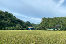 NTP Sulsel meningkat dari tahun ke tahun