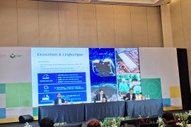 Harita Nickel akan buyback saham Rp1 triliun