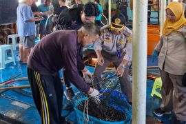 Pelaku usaha perikanan Natuna dan Anambas jajaki ekspor melalui udara