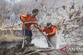 Karhutla rawan terjadi di 11 kecamatan Purwakarta saat kemarau