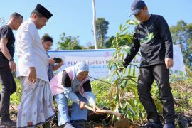 PLN tanam sebanyak 165 pohon produkti di LATA