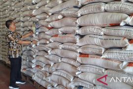 Bulog Aceh beli gabah petani sebanyak 1.788 ton