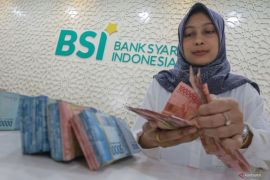 Sektor perdagangan dominasi pembiayaan KUR di Aceh